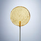 Pineapple Rum Lollipops- Small